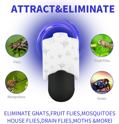 JZ New Arrival Indoor UV Light Human Harless Plug in Sticky Bug Zapper Mosquito Killing Glue Trapper for Indoor supplier
